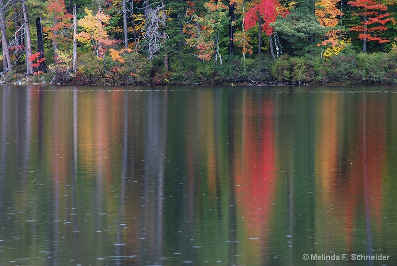 Fall In the Water