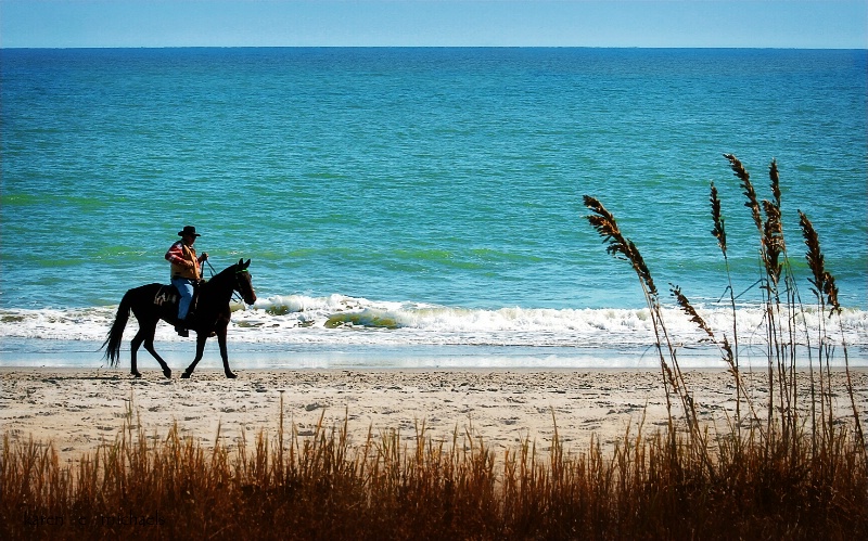 Horseback on the Beach - ID: 14277832 © Karen E. Michaels