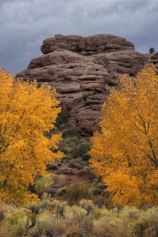 Fall In San Lorenzo Canyon