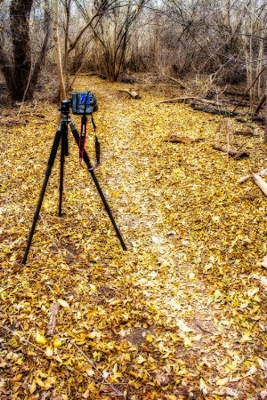 Capturing Autumn