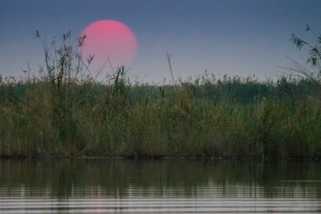 Botswana Sunset