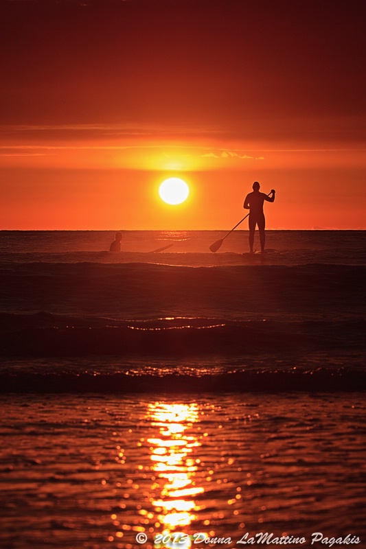 Silhouetted Surfers