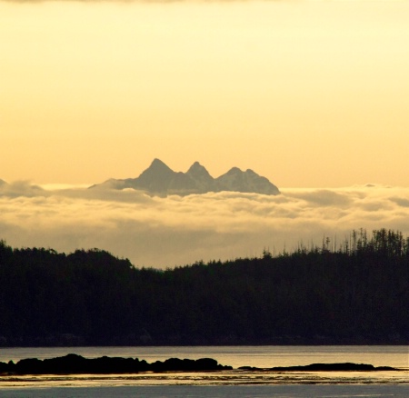 Alaskan Paradise!