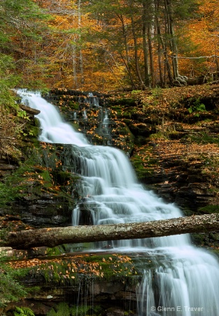 The Top of Ganoga Falls