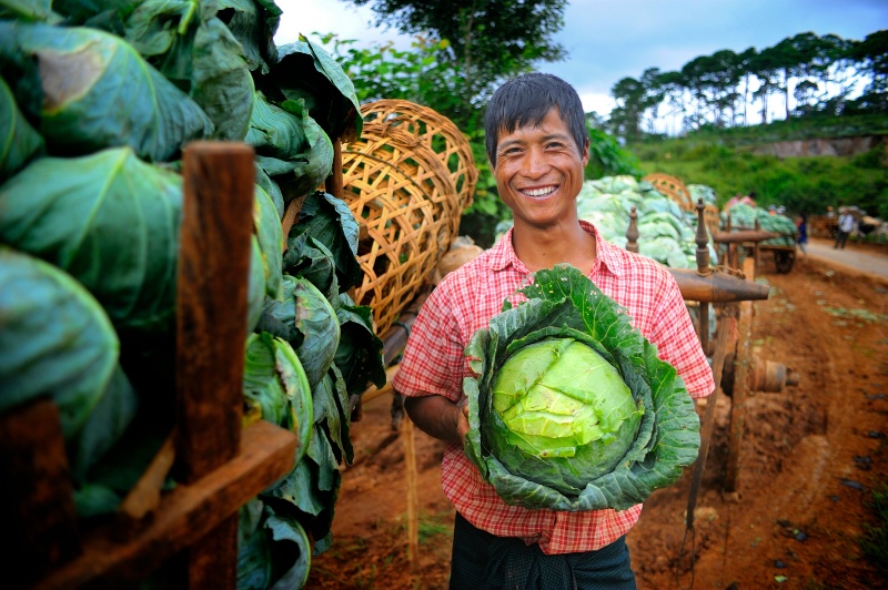 The Smiling Man - ID: 14284412 © Kyaw Kyaw Winn