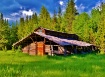 Banned Home to Li...
