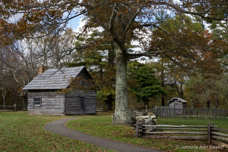 Puckett Cabin