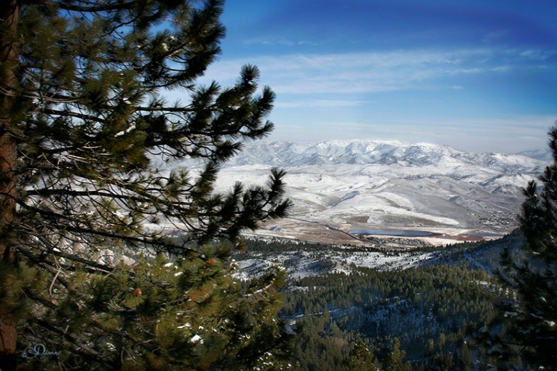 A View From Mt. Rose