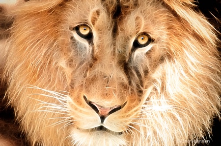 Artistic Lion Face