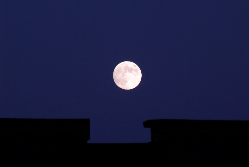 Moon over CB - ID: 14293830 © Kathleen McCauley