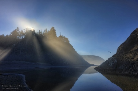 Sunbeams in the Morning Mist