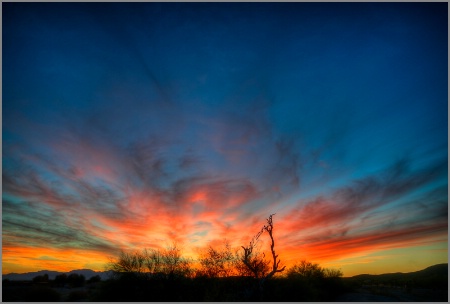 Phoenix Sunset