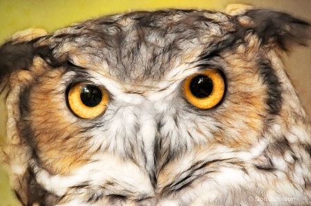 Artistic Great Horned Owl
