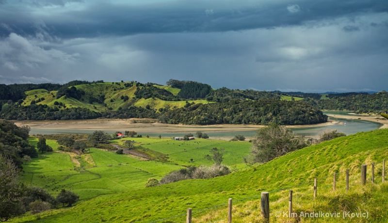 Coastal Area NZ