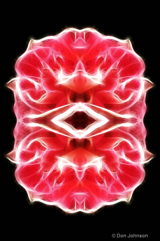 Single Rose-Fractalius + Kalieodscope - ID: 14305101 © Don Johnson