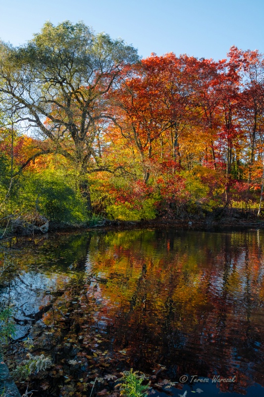October's colors of High Park