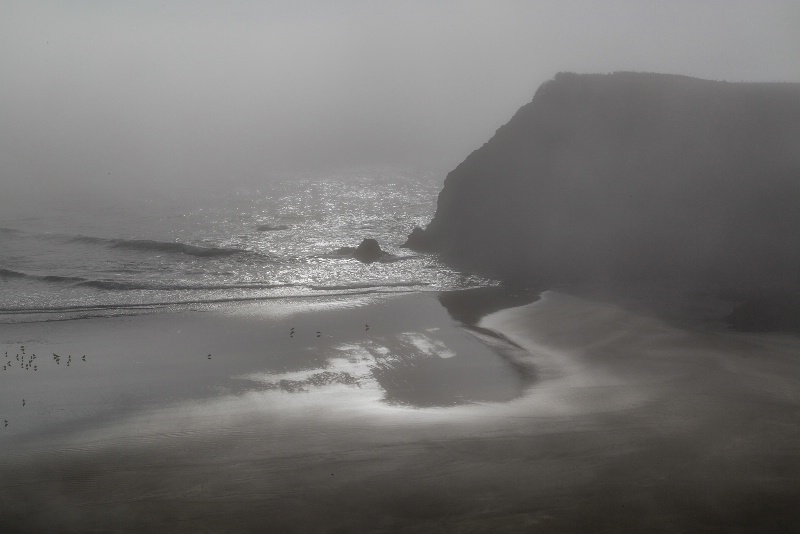 Foggy Morning at the Beach - 515
