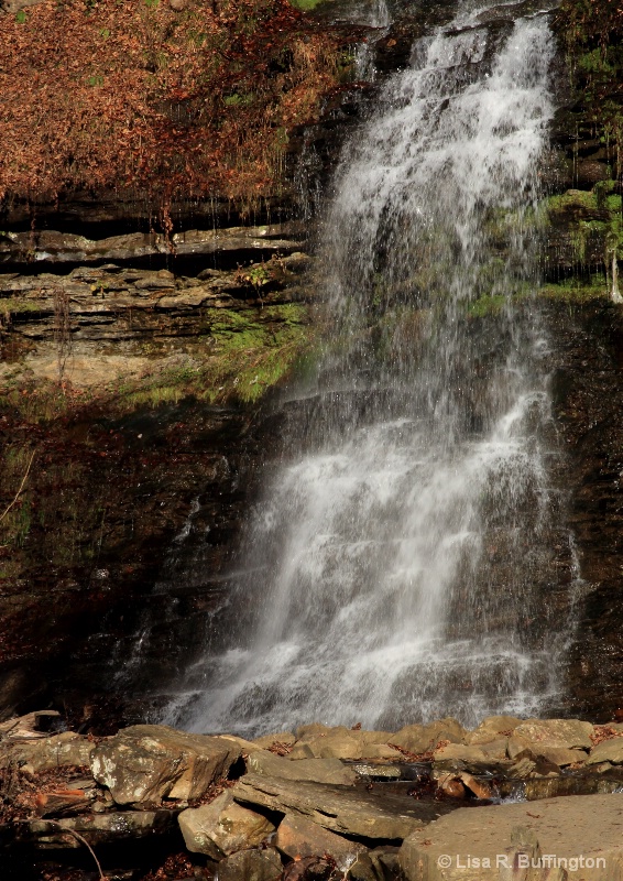 Waterfall on Gauley Mountain - ID: 14313437 © Lisa R. Buffington