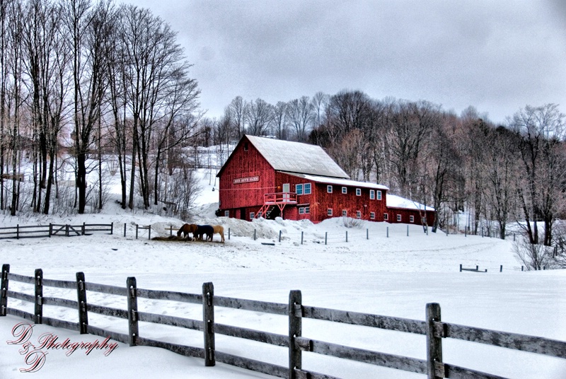 Snowtime in VT