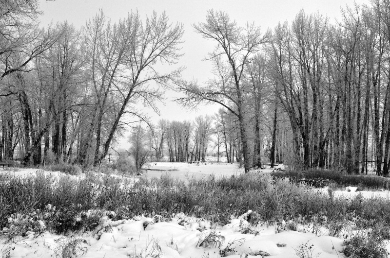 "Fish Creek Park - Winter"