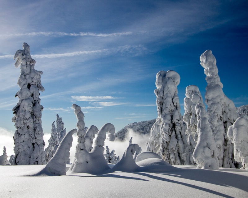 Snow Ghosts