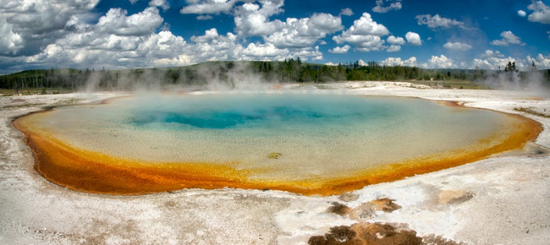 Turquoise Pool