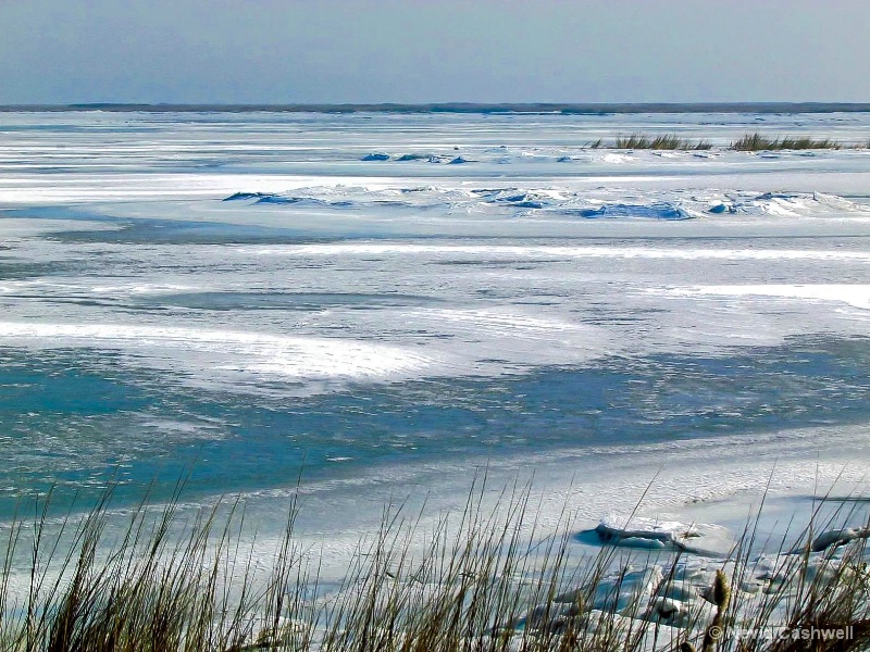 Frozen Bay