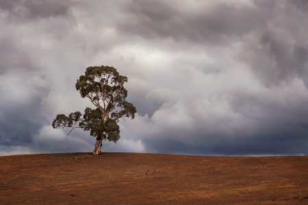 Summer Storm