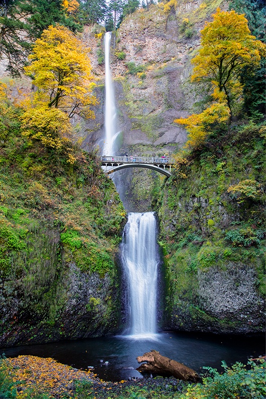 Autumn in the Gorge