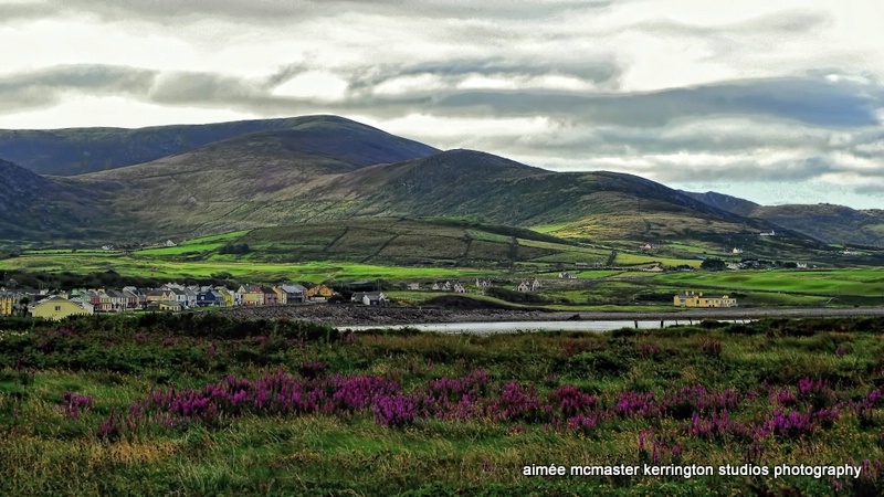 waterville color