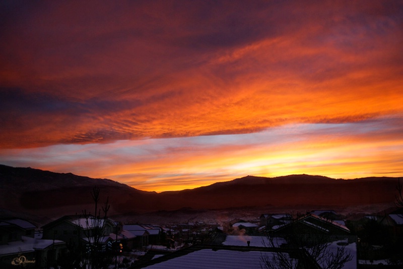 Above The House Tops