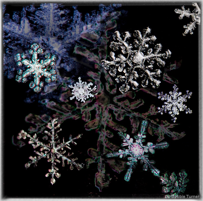 Snowflake collage - ID: 14326352 © BARBARA TURNER