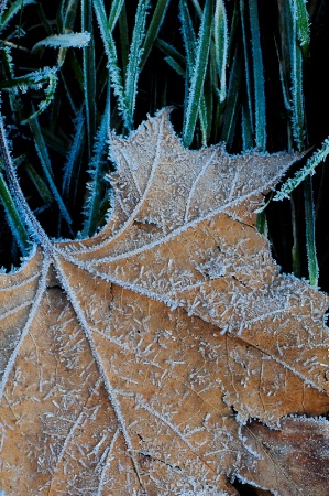 Frosty Touch 2