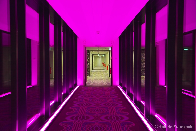 Pink Hotel Dreams