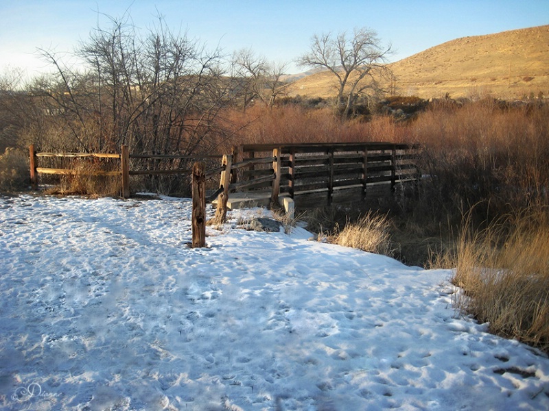 Late Day Hike