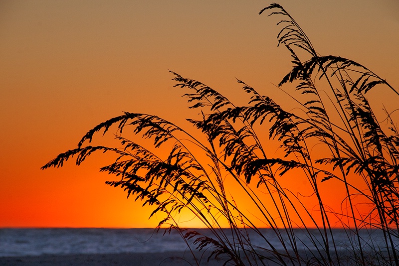 Gasparilla Island Sunset