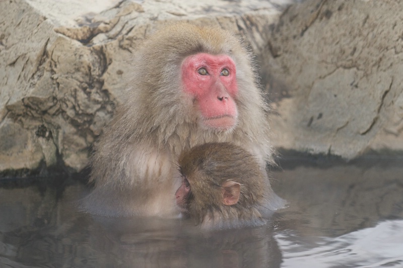 Mom and Babe in Hot Tub - ID: 14331841 © Kitty R. Kono