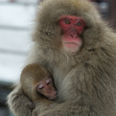 Mom Hugging Baby