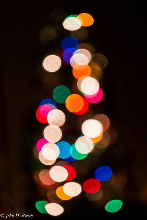 Christmas Colors - ID: 14332350 © John D. Roach