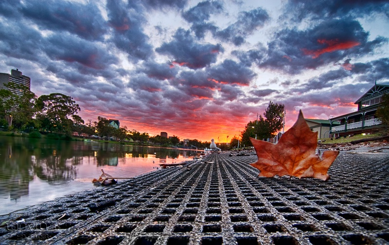 A Melbourne Dawn