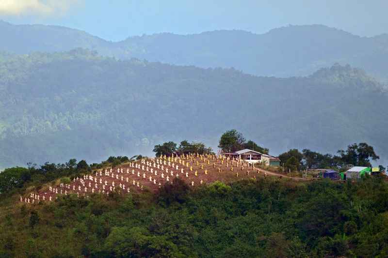 Thousand Pagoda