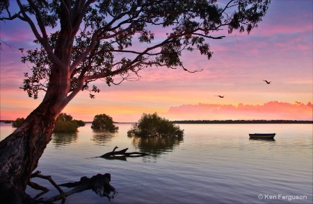 Tranquil Tin Can Inlet