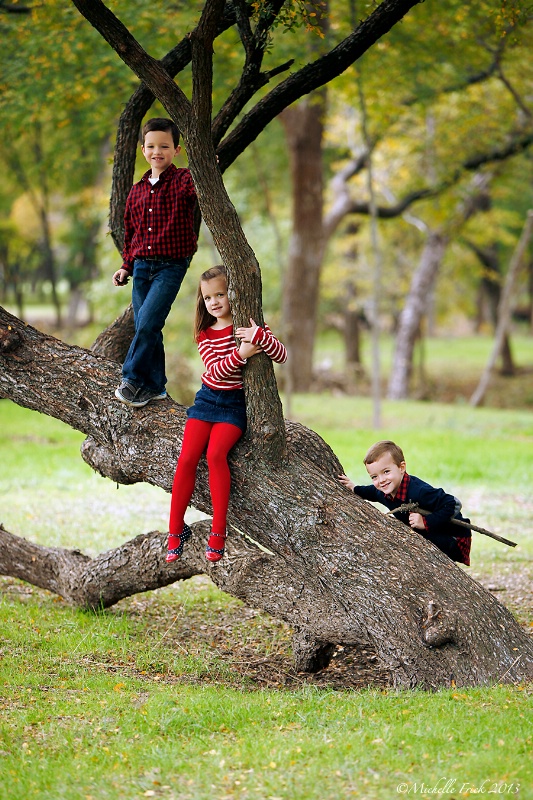 Up a Tree