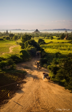 Horse carts in Bagan