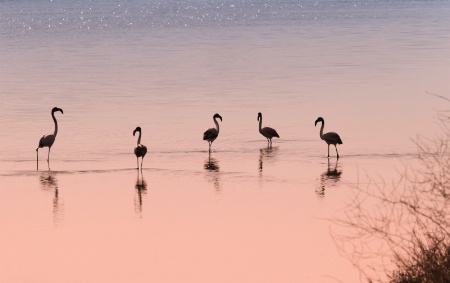 Italy - Apulia