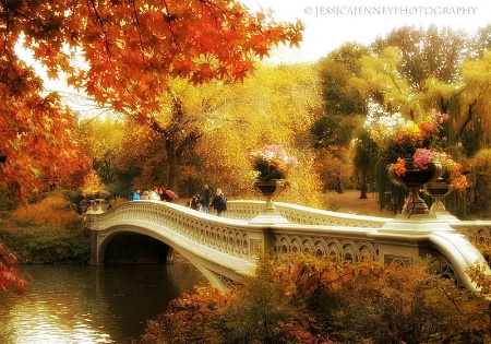 Bow Bridge Stroll