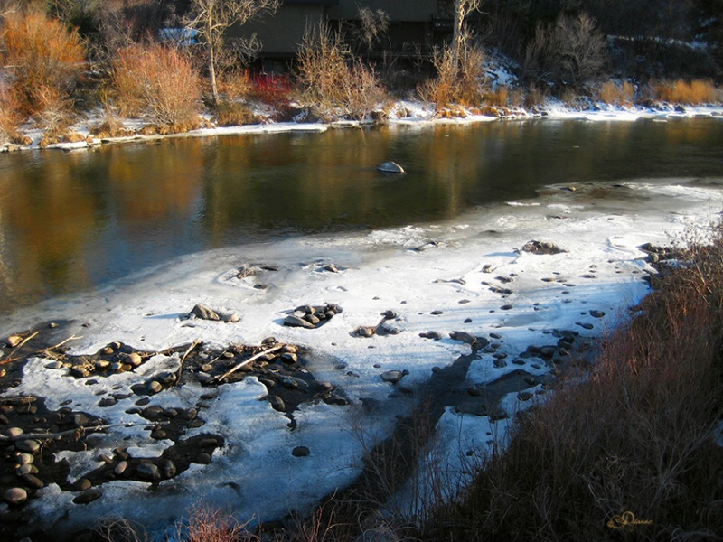 Afternoon Walk At The Truckee