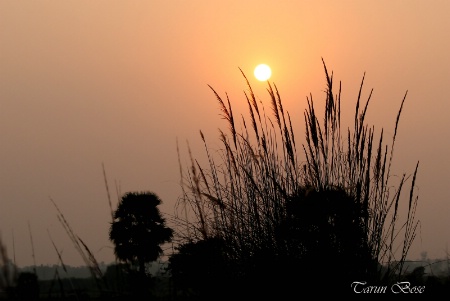 Orange Sunset.