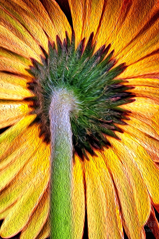 img8