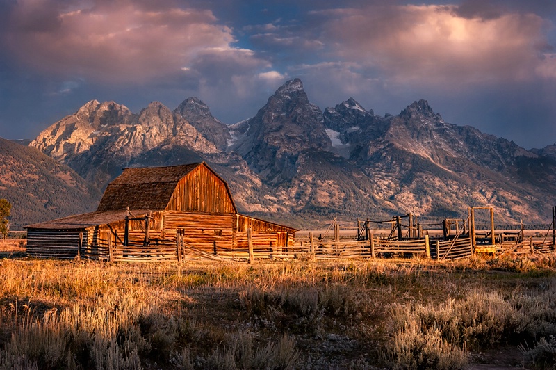 Morning on the Mormon Row